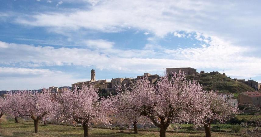 Tossal Del Maig Villa Barbará Kültér fotó